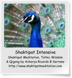 Shaktipat Intensive - Shaktipat Meditation, Qigong by Acharya Ricardo B Serrano