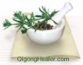 Western Herbs according to Traditional Chinese Medicine